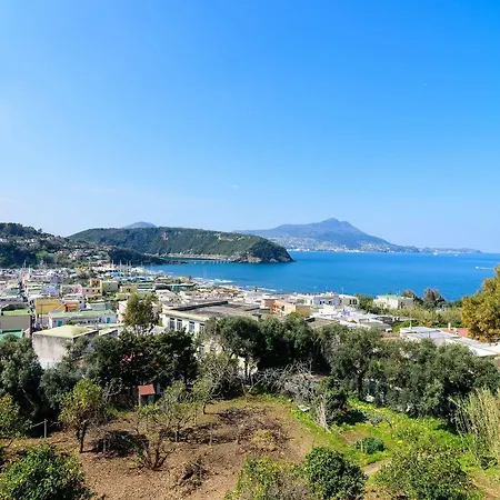 Hotel Riviera Procida